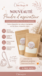 Poudre d'aspirateur