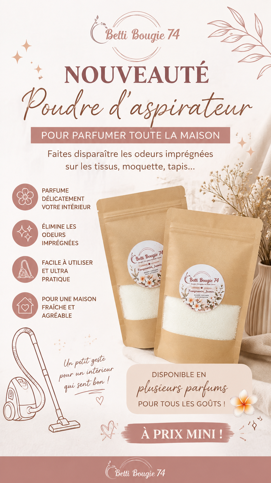 Poudre d'aspirateur