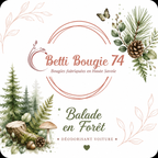 Diffuseur de parfum pour voiture